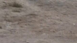 Mitti taby
