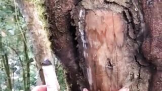 World's most satisfying short vedio