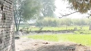 یہ کیا ہو گیا لڑکے کیساکیساتھ Funny prink vidio|Funny shorys vidio