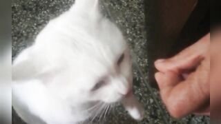 His INSANE love for CAT GRASS!!!!
