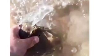 Carving a frog out of stone