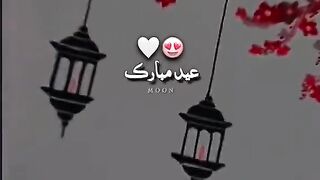 bmn,njmvjm,vj