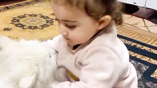 Kid funn with cat