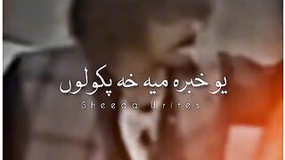 amazing videos clips