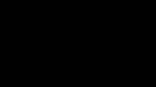 Intro