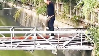 #"Gone Fishing: The One That Got Away... and Took the Rod With It!"