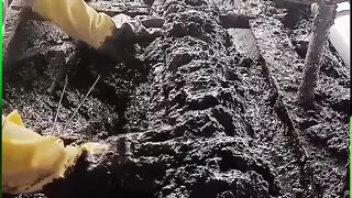 How To Remove A Stripped Screw #Tools