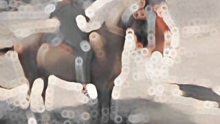 Horse riding and enjoy life