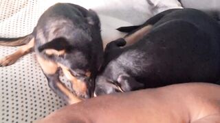 Meus filhos