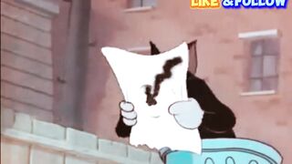 Tom And Jerry Casanova Cat
