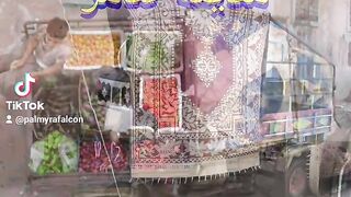 مدينة تدمر