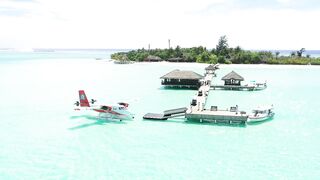 Paradise port on an island - AdalineTV