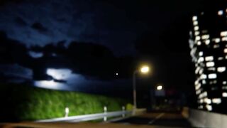 Funny cats on a high way trip lol
