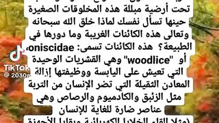 معلومات عامه