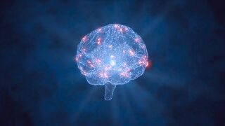 The development of the brain that grows perfectly, if the learning atmosphere is comfortable Part - 5