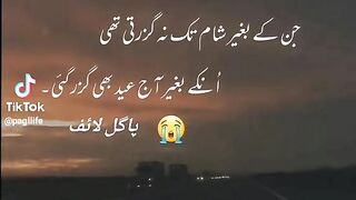 Jin k bager