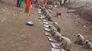 Funny ???? in videos