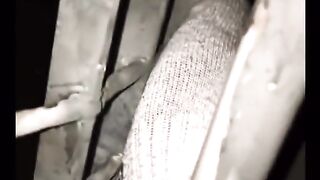 Évasion spectaculaire : Un détenu brise les barreaux de sa cellule