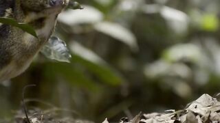 Very nice funny video