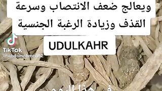 العطار ابو يوسف