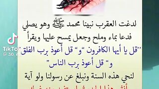 سنة الرسول صلى الله عليه وسلم