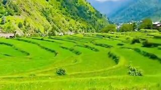 Kashmir Village View on Eid Day's