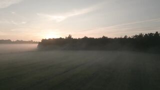 Agriculture is inseparable from technology and the role of living things around it Part - 3