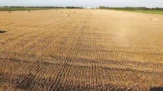 Agriculture is inseparable from technology and the role of living things around it Part - 5