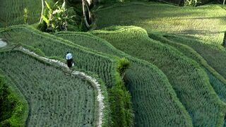 Agriculture is inseparable from technology and the role of living things around it Part - 7