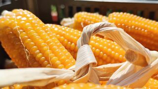 Agriculture is inseparable from technology and the role of living things around it Part - 22