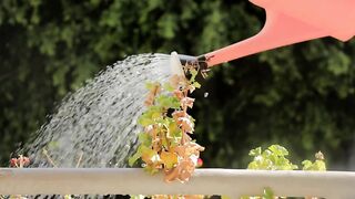 Agriculture is inseparable from technology and the role of living things around it Part - 23