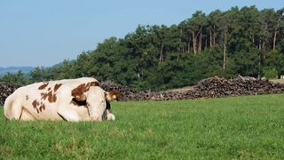 Agriculture is inseparable from technology and the role of living things around it Part - 25