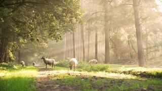Agriculture is inseparable from technology and the role of living things around it Part - 26