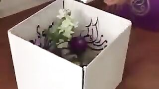 Funny video boom video viral video most beautiful video very funny video