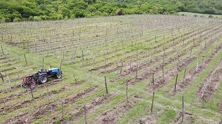 Agriculture is inseparable from technology and the role of living things around it Part - 34