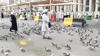 Beautiful_Mecca_Misfalah_Kabootar_Chowk_Makkah_SaudiArab