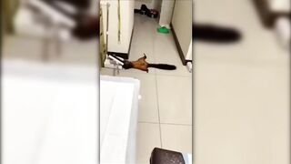 Best Funny Videos compilation - Fail And Pranks???? TRY NOT TO LAUGH