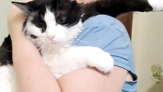Marguerite shows how affectionate the cat is.