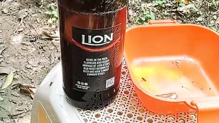 Beer srilanka