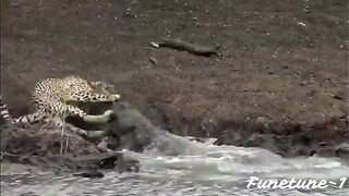nature #reels #viral #shorts