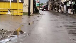 Walk after the rain falls