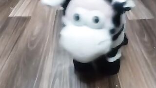 Vital videos