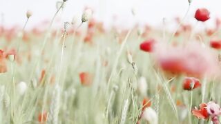 Dancing flower