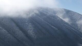 NATURE 102
