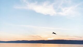 NATURE 104