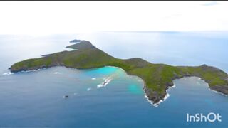 Mr beast 7 days stranded on an island ????