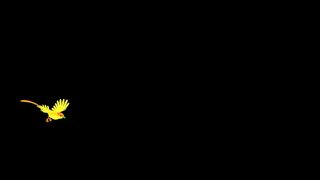 Animation Video - 3