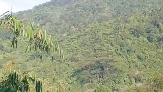 SAFARI PARK in Bogor, Indonesia country