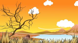 Animation Video - 23