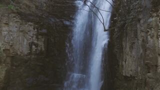 NATURE 115